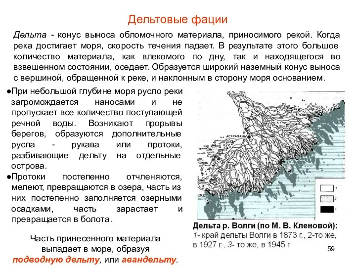 Дельтовые фации Дельта - конус выноса обломочного материала, приносимого рекой.