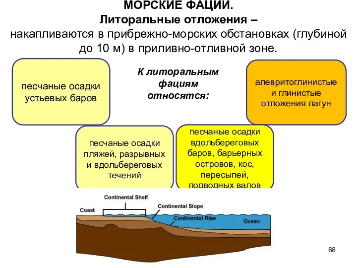 алевритоглинистые и глинистые отложения лагун МОРСКИЕ ФАЦИИ. Литоральные отложения –