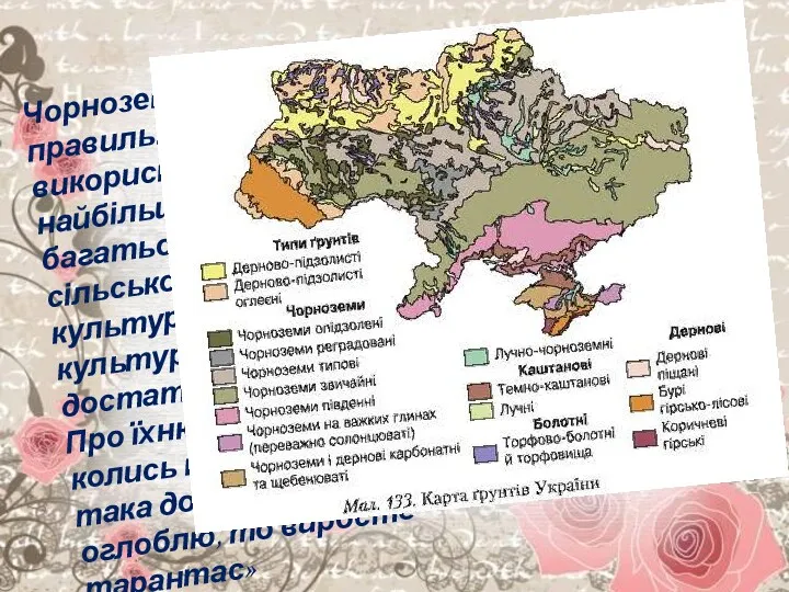 Чорноземні ґрунти при правильному використанні дають найбільший врожай багатьох сільськогосподарських