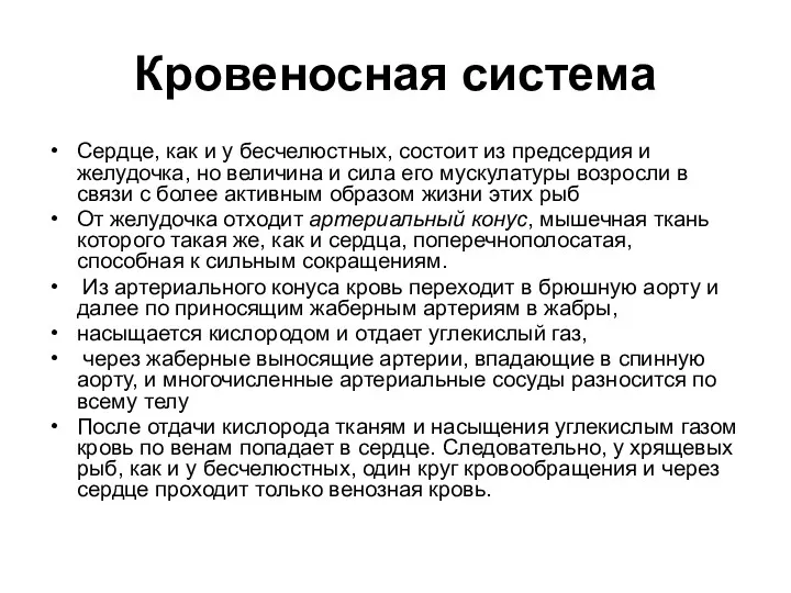 Кровеносная система Сердце, как и у бесчелюстных, состоит из предсердия