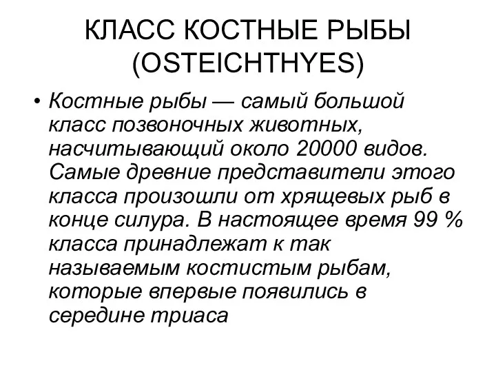 КЛАСС КОСТНЫЕ РЫБЫ (OSTEICHTHYES) Костные рыбы — самый большой класс