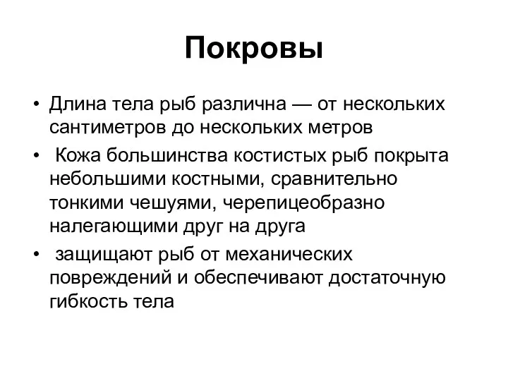 Покровы Длина тела рыб различна — от нескольких сантиметров до