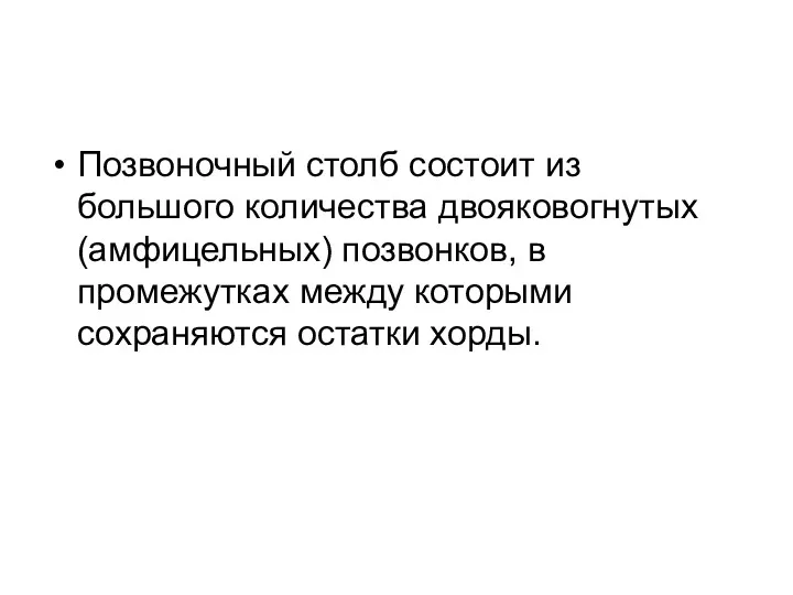 Позвоночный столб состоит из большого количества двояковогнутых (амфицельных) позвонков, в промежутках между которыми сохраняются остатки хорды.