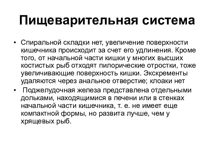 Пищеварительная система Спиральной складки нет, увеличение поверхности кишечника происходит за