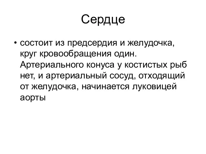 Сердце состоит из предсердия и желудочка, круг кровообращения один. Артериального