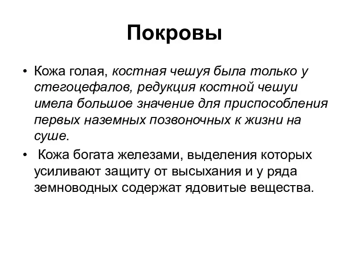 Покровы Кожа голая, костная чешуя была только у стегоцефалов, редукция