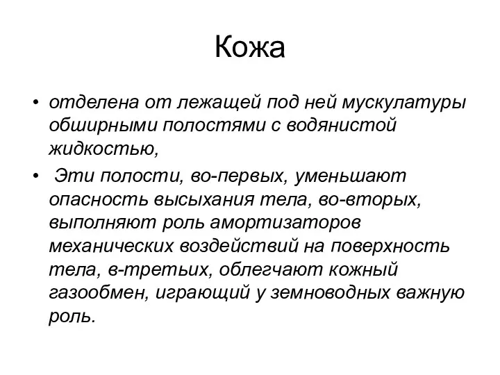 Кожа отделена от лежащей под ней мускулатуры обширными полостями с