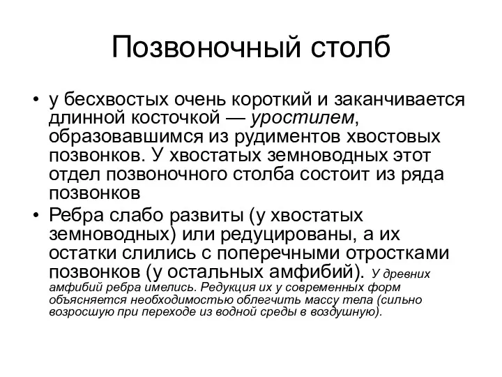 Позвоночный столб у бесхвостых очень короткий и заканчивается длинной косточкой