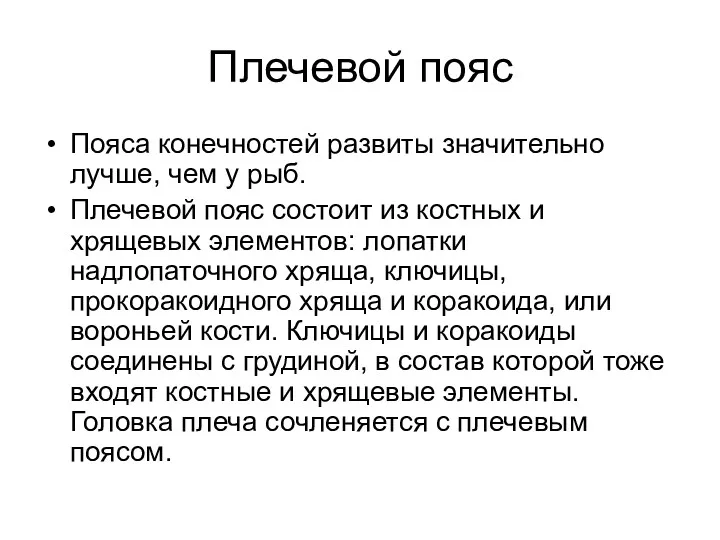 Плечевой пояс Пояса конечностей развиты значительно лучше, чем у рыб.