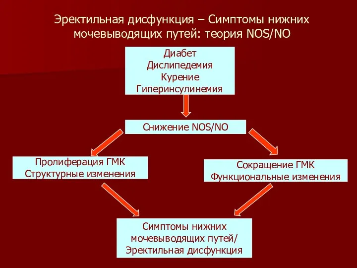 Диабет Дислипедемия Курение Гиперинсулинемия Снижение NOS/NO Пролиферация ГМК Структурные изменения