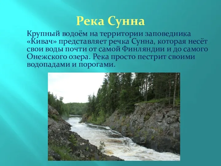 Река Сунна Крупный водоём на территории заповедника «Кивач» представляет речка