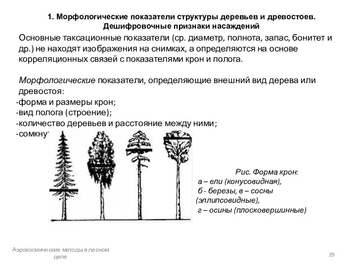 1. Морфологические показатели структуры деревьев и древостоев. Дешифровочные признаки насаждений Основные таксационные показатели