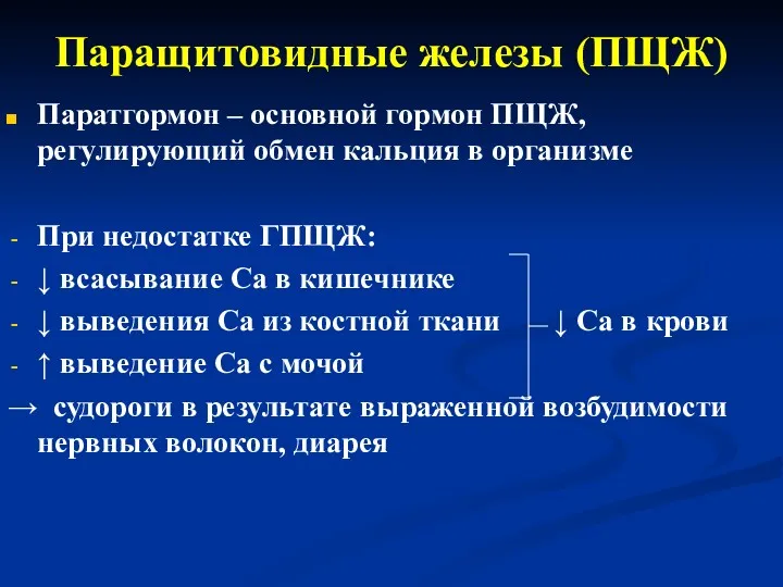 Паращитовидные железы (ПЩЖ) Паратгормон – основной гормон ПЩЖ, регулирующий обмен