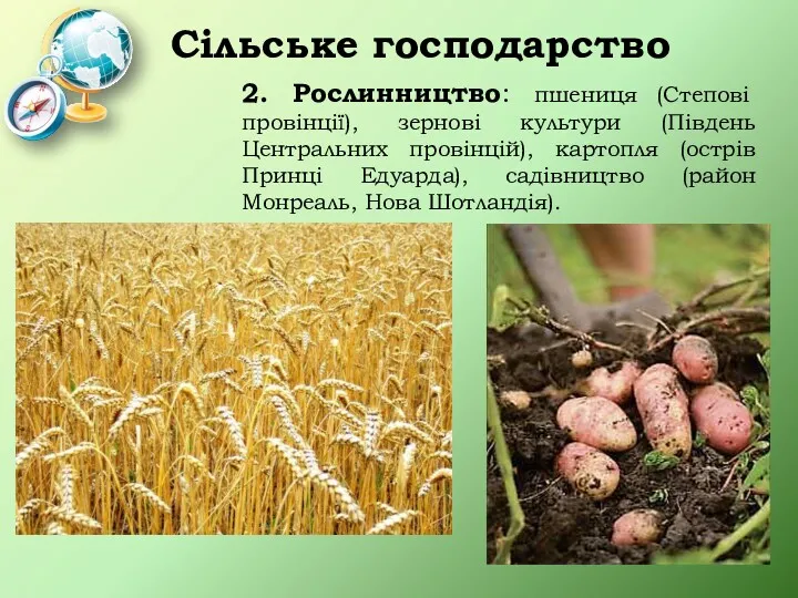 Сільське господарство 2. Рослинництво: пшениця (Степові провінції), зернові культури (Південь