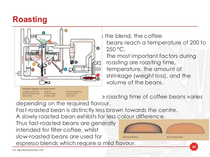 Roasting Depending on the blend, the coffee beans reach a