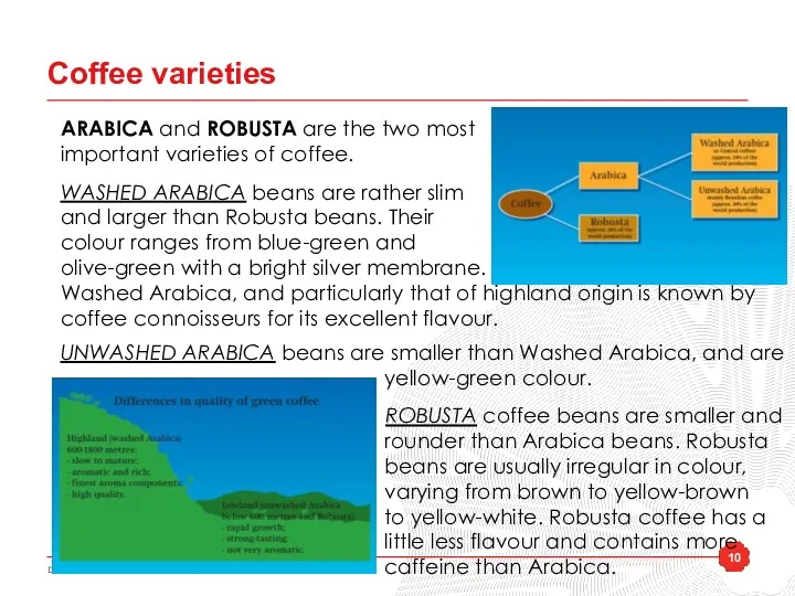 Coffee varieties ARABICA and ROBUSTA are the two most important