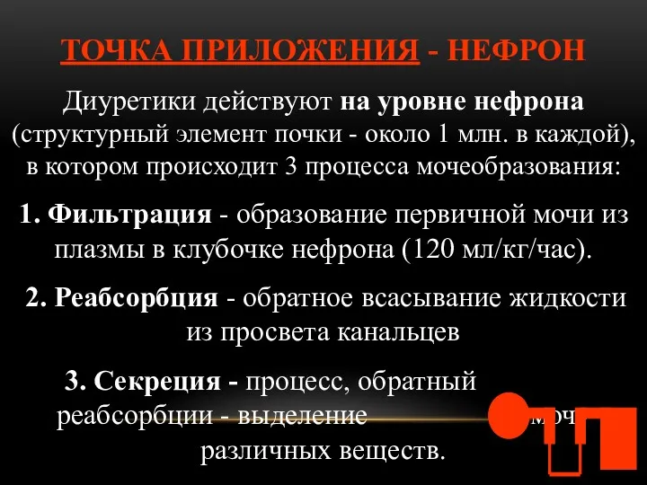 ТОЧКА ПРИЛОЖЕНИЯ - НЕФРОН Диуретики действуют на уровне нефрона (структурный