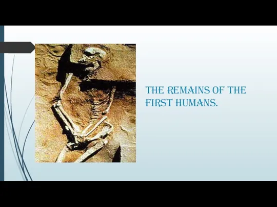 The remains of the first humans.