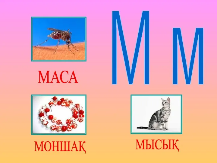 М м МАСА МОНШАҚ МЫСЫҚ