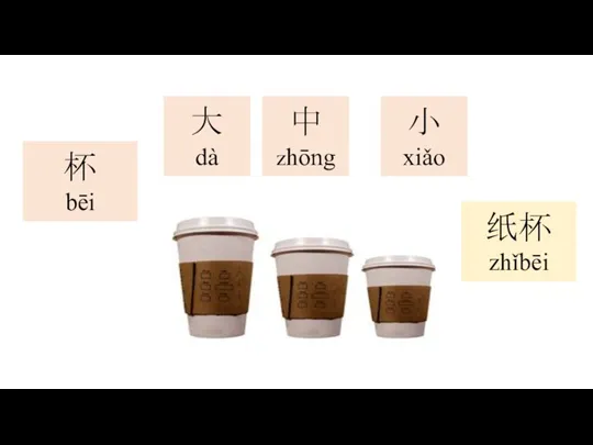 大 dà 小 xiǎo 中zhōng 纸杯 zhǐbēi 杯 bēi