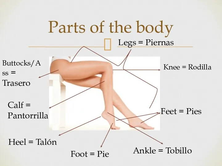 Parts of the body Buttocks/Ass = Trasero Legs = Piernas