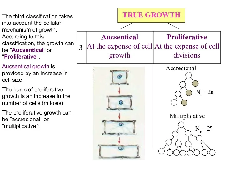 TRUE GROWTH The third classification takes into account the cellular