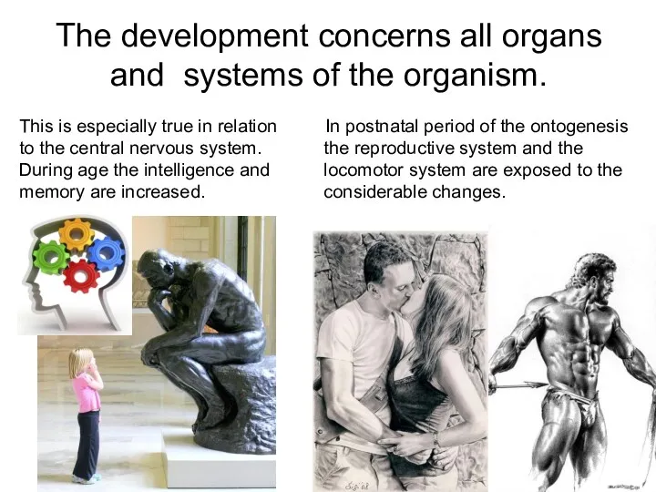 The development concerns all organs and systems of the organism.