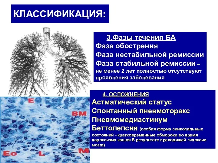 КЛАССИФИКАЦИЯ: 3.Фазы течения БА Фаза обострения Фаза нестабильной ремиссии Фаза