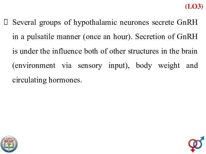 (LO3) Several groups of hypothalamic neurones secrete GnRH in a