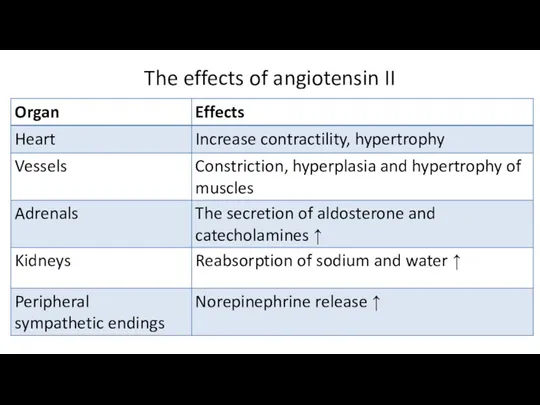 The effects of angiotensin II