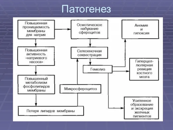 Патогенез