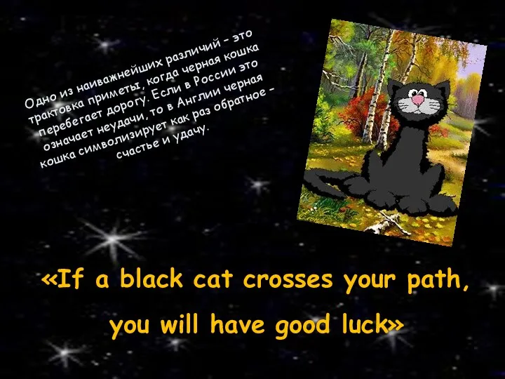 «If a black cat crosses your path, you will have