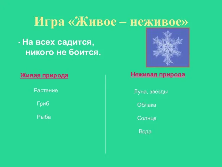 Игра «Живое – неживое» Живая природа Неживая природа На всех садится, никого не
