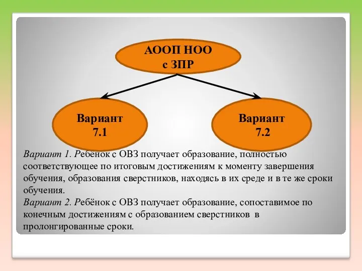 Вариант 1. Ребёнок с ОВЗ получает образование, полностью соответствующее по