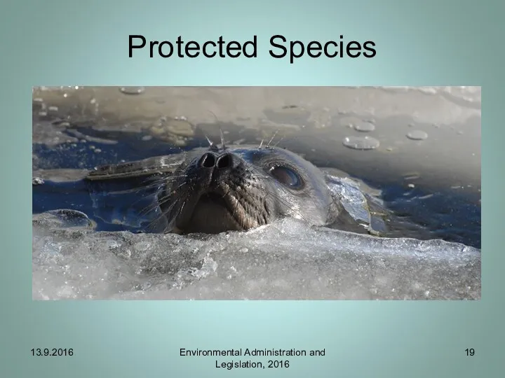 Protected Species 13.9.2016 Environmental Administration and Legislation, 2016