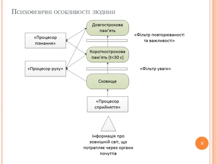 Психофізичні особливості людини