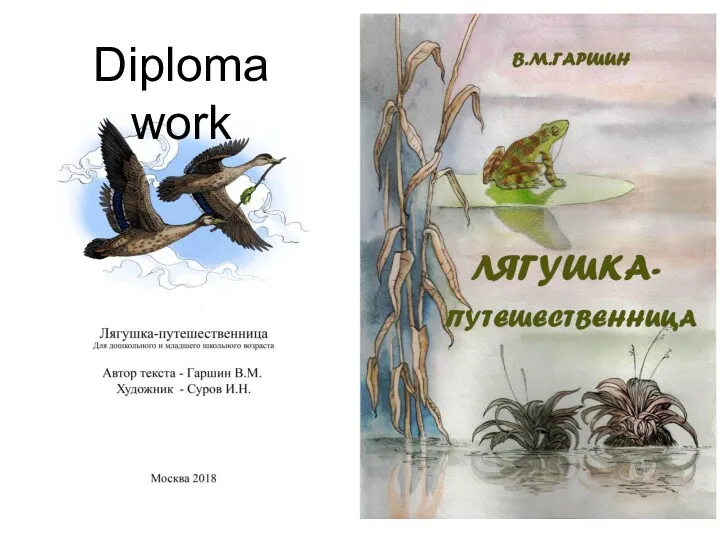 Diploma work