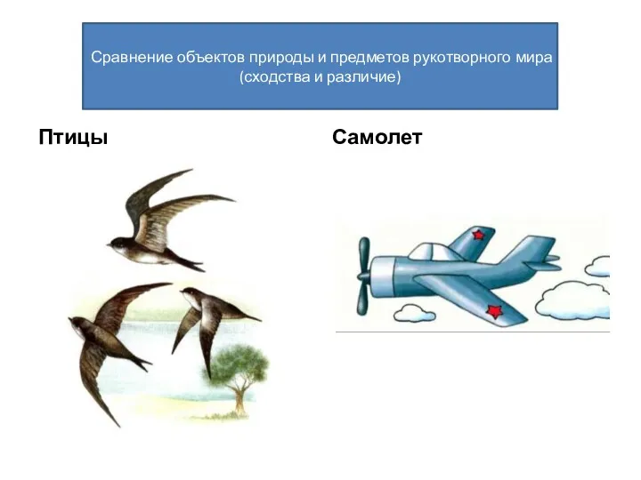 Сравнение объектов природы и предметов рукотворного мира (сходства и различие) Птицы Самолет
