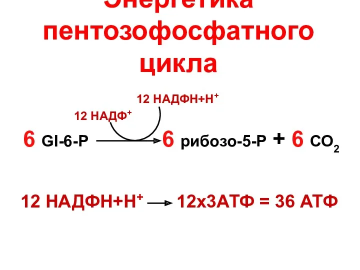 Энергетика пентозофосфатного цикла 6 Gl-6-P 6 рибозо-5-P + 6 СО2