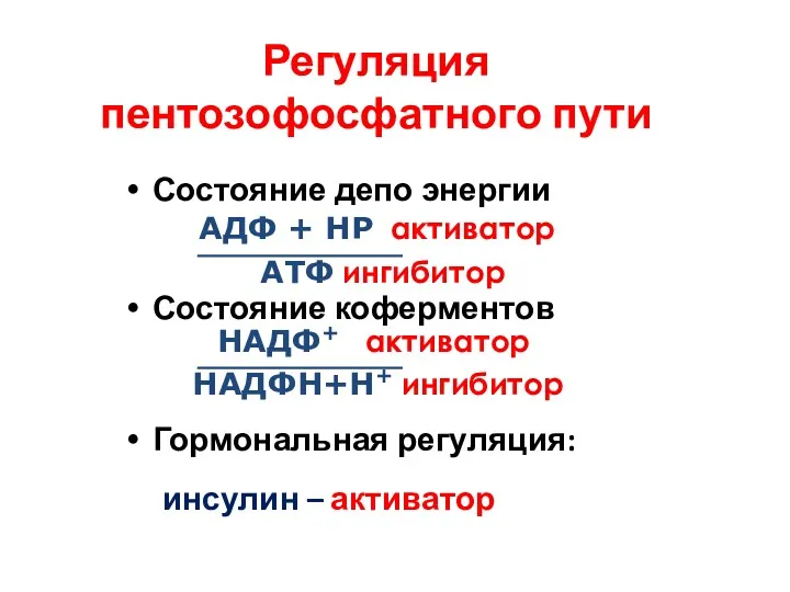 Регуляция пентозофосфатного пути Состояние депо энергии Состояние коферментов Гормональная регуляция: инсулин – активатор