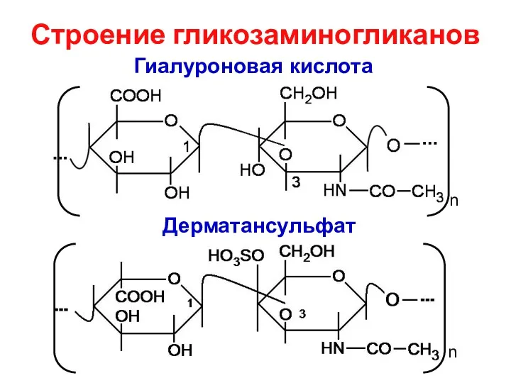 Строение гликозаминогликанов Гиалуроновая кислота Дерматансульфат n n