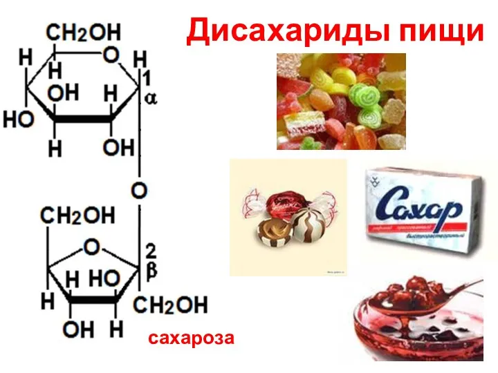 Дисахариды пищи сахароза