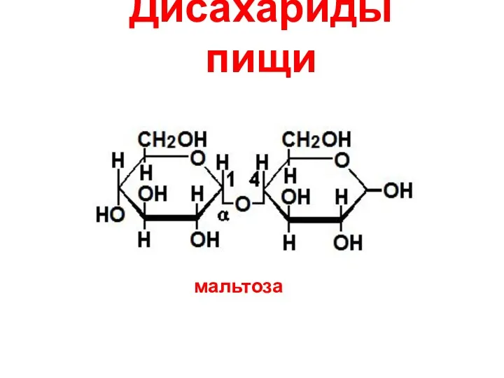 Дисахариды пищи мальтоза