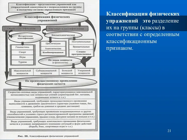 Классификация физических упражнений это разделение их на группы (классы) в соответствии с определенным классификационным признаком.