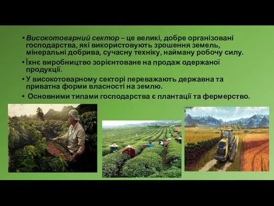 Високотоварний сектор – це великі, добре організовані господарства, які використовують зрошення земель, мінеральні