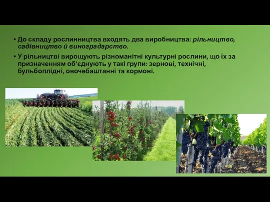 До складу рослинництва входять два виробництва: рільництво, садівництво й виноградарство. У рільництві вирощують