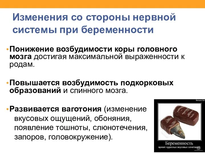 Изменения со стороны нервной системы при беременности Понижение возбудимости коры