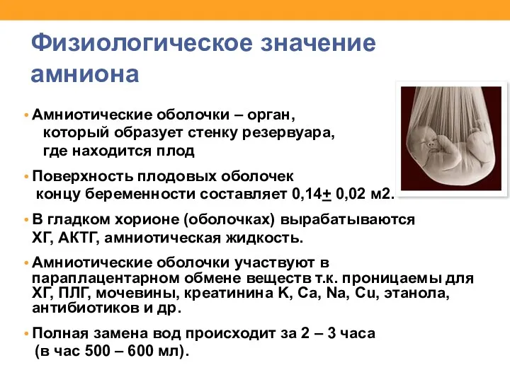 Физиологическое значение амниона Амниотические оболочки – орган, который образует стенку