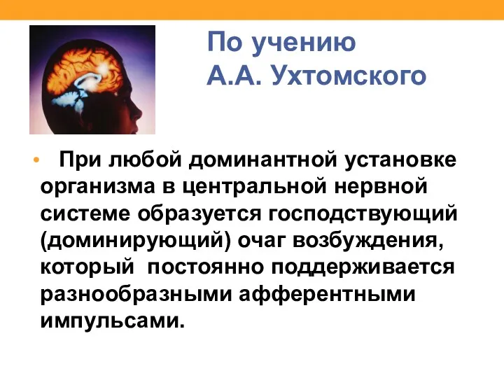 По учению А.А. Ухтомского При любой доминантной установке организма в