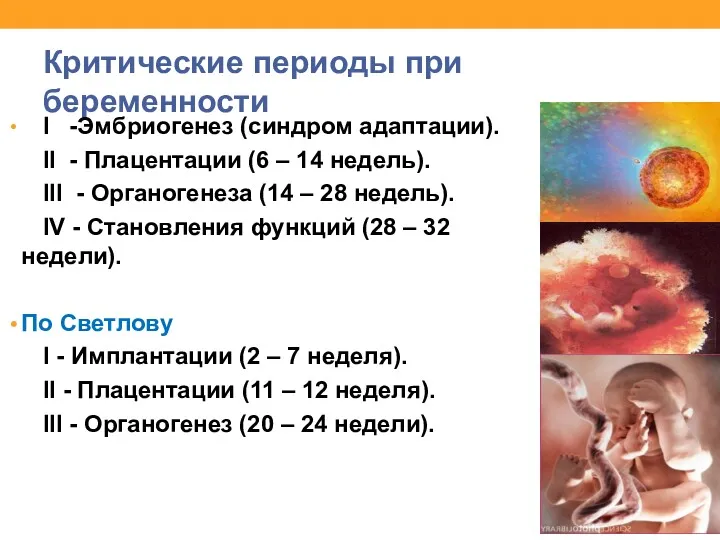 Критические периоды при беременности I -Эмбриогенез (синдром адаптации). II -